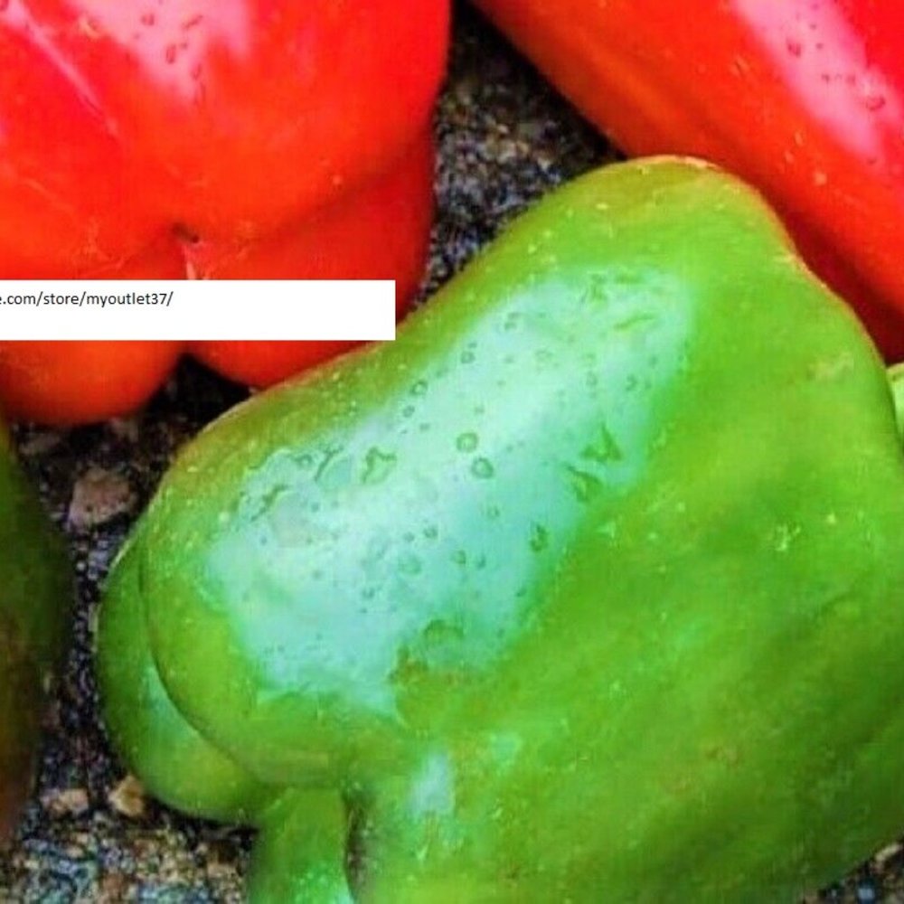California Wonder Peppers - NON-GMO - Vegetable Seeds - BOGO